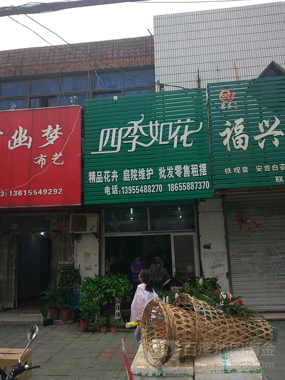 四季如花精品花卉庭院护理