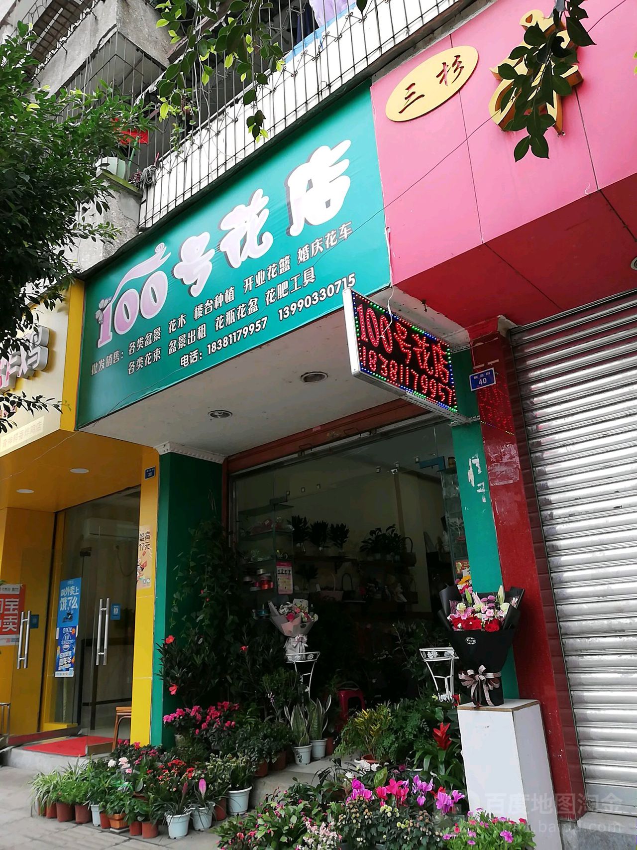 100号花店