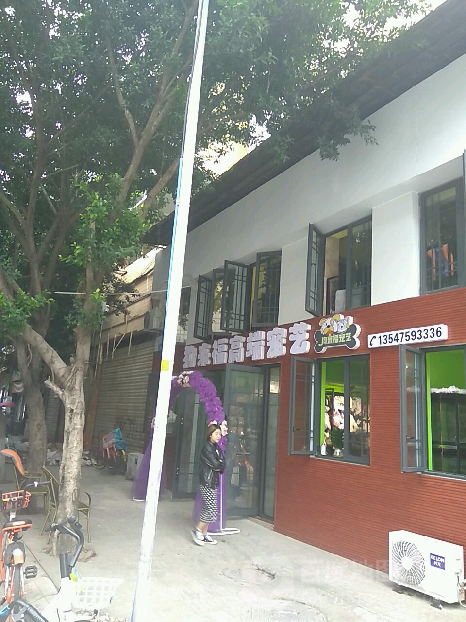 狗来福高端宠艺(丽景花园店)