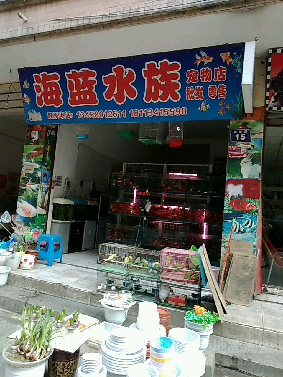 海蓝水族宠物店