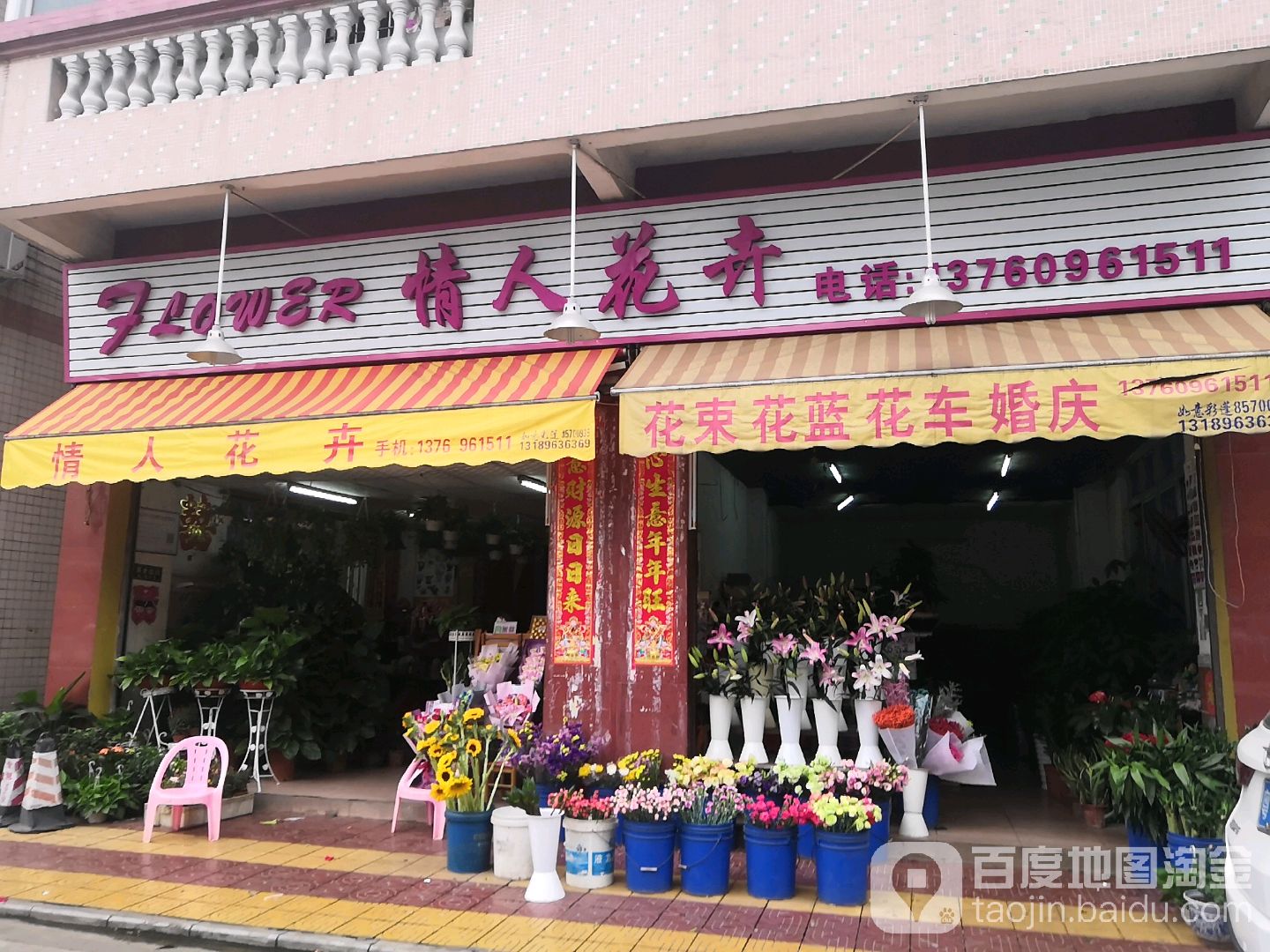 情人花卉