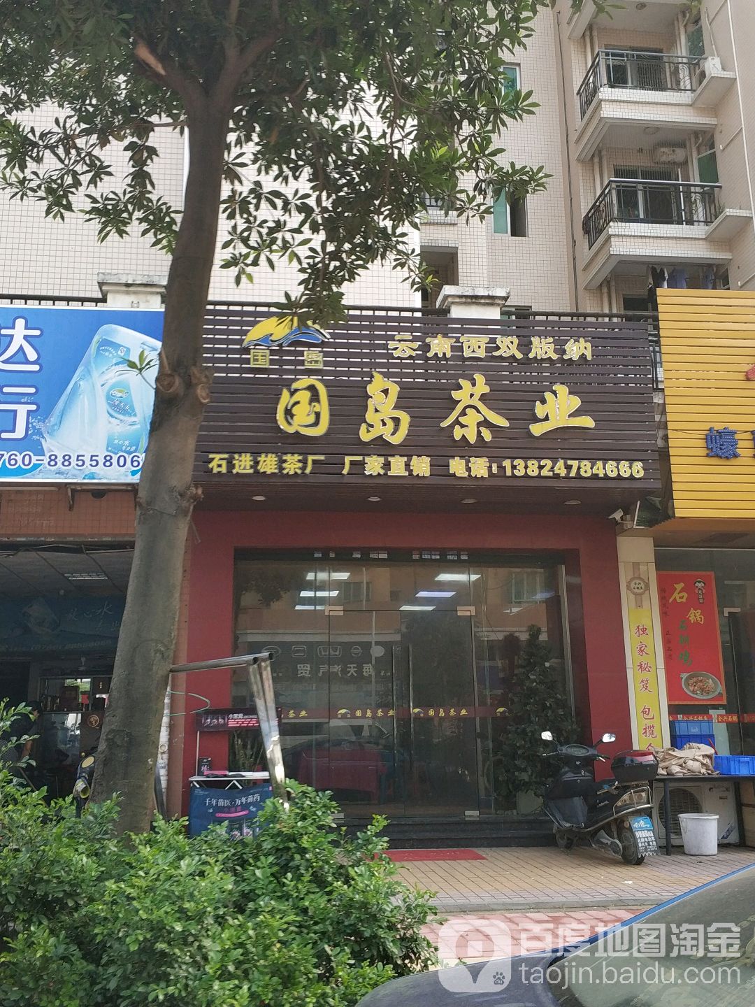 国岛茶业