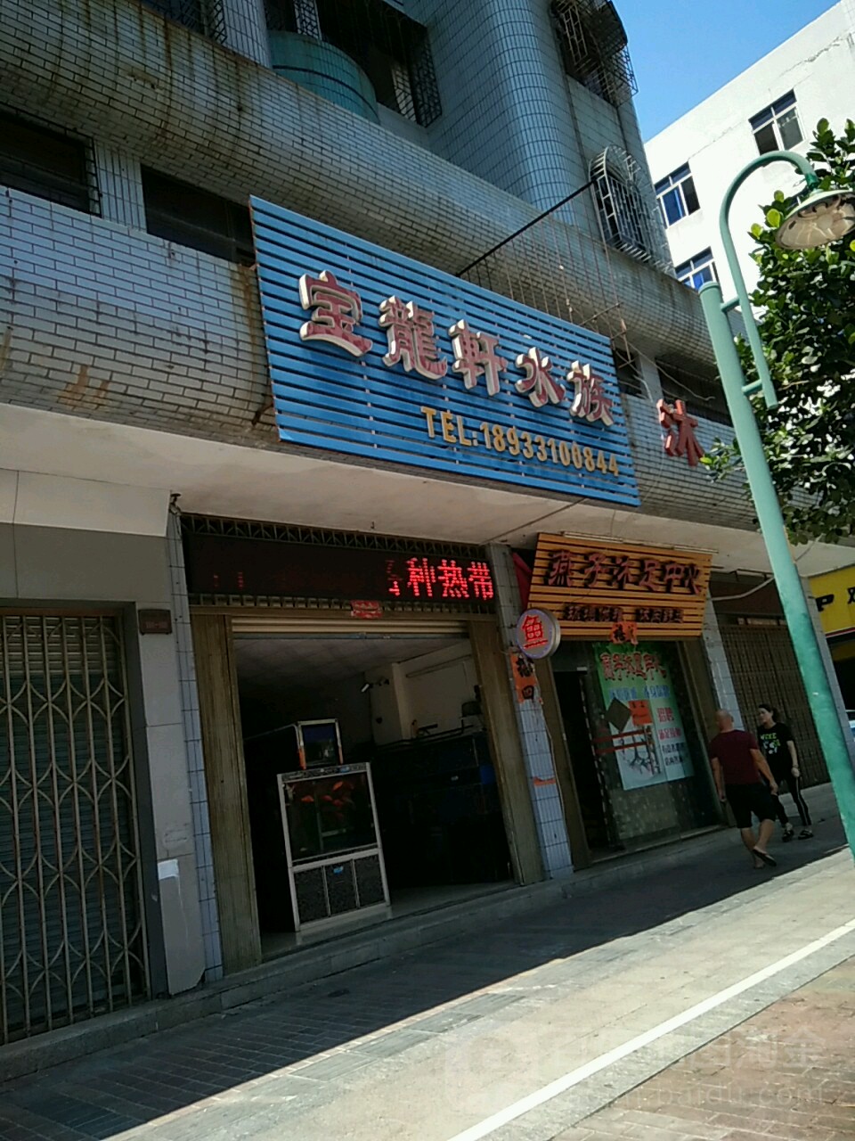 宝龙轩水族
