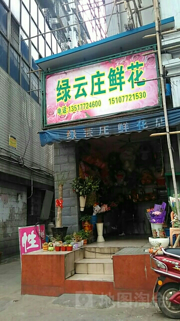 绿云庄鲜花(绿云庄花店)