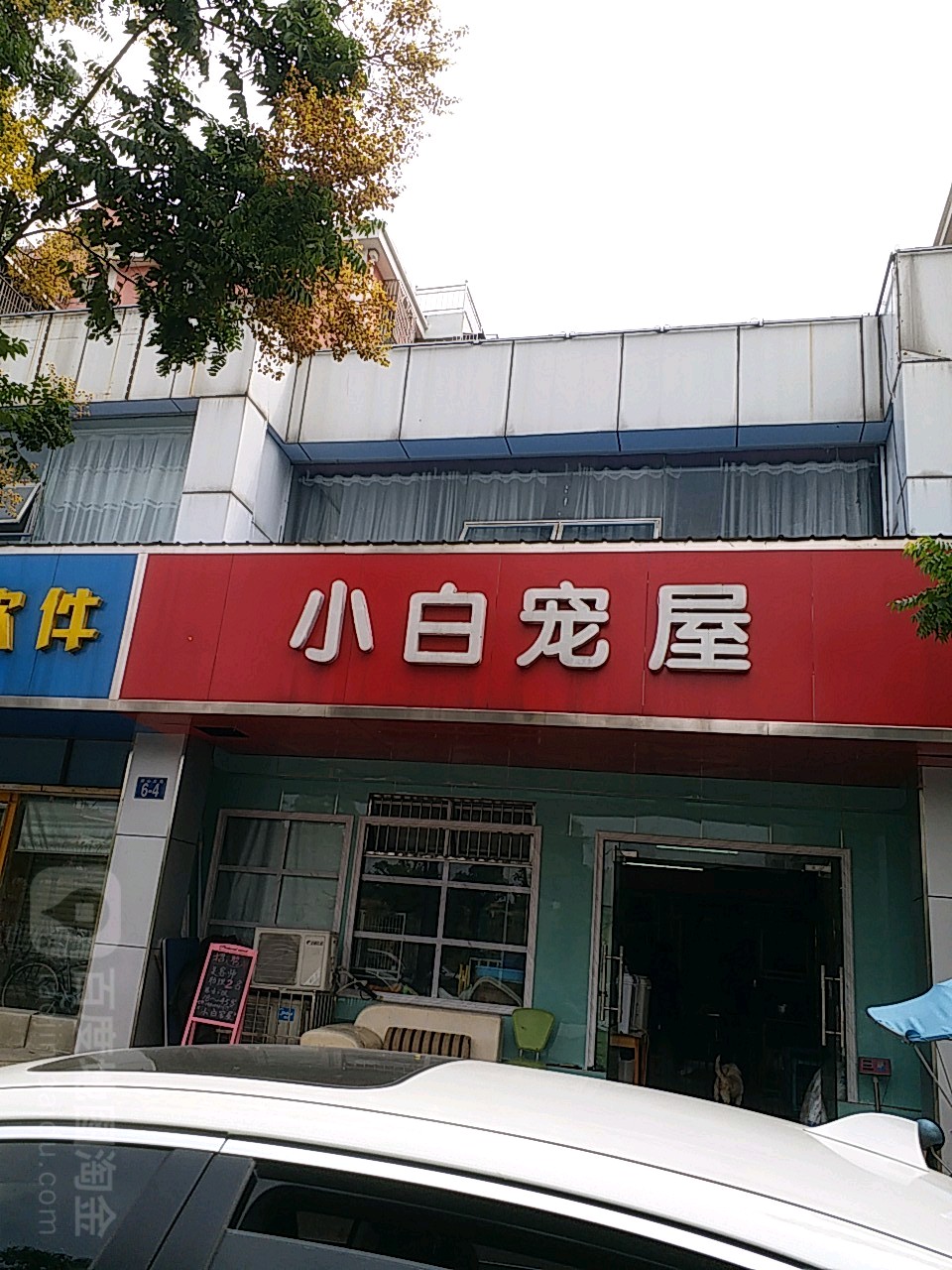 小白宠屋