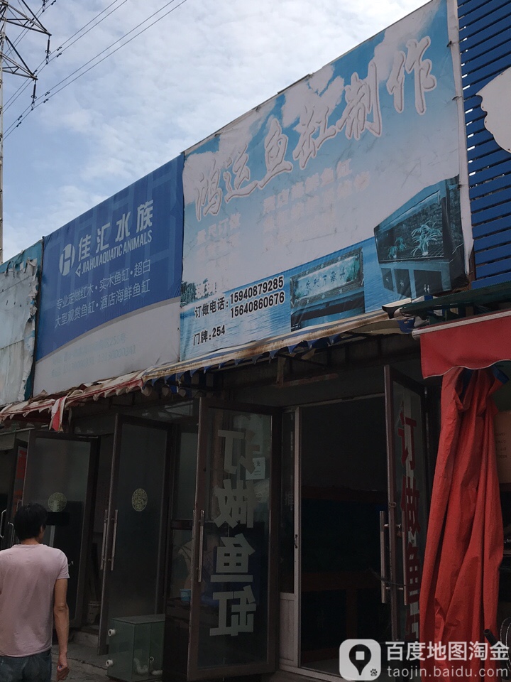 佳滙水族