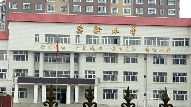 虎林市实验学学