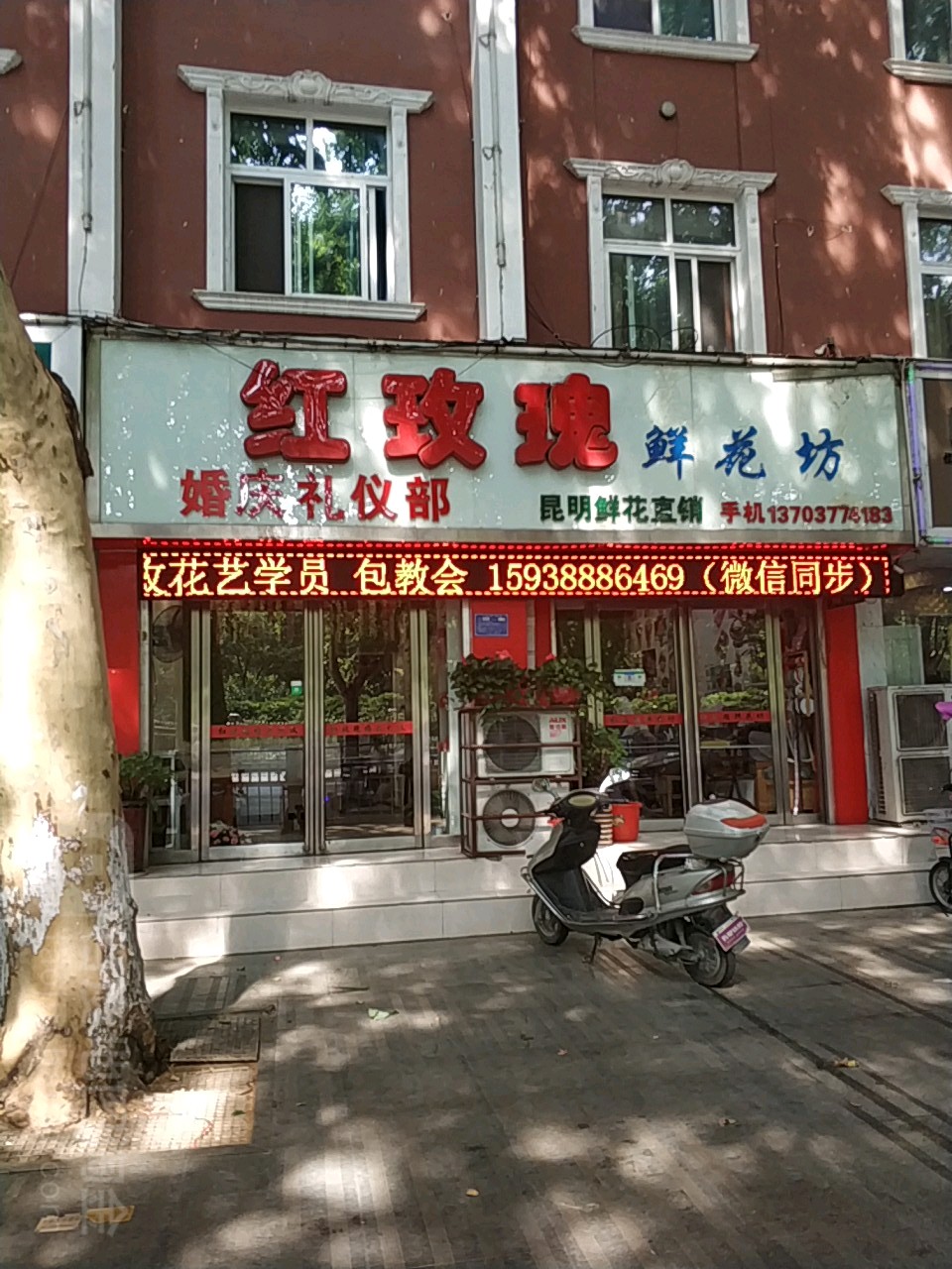 红玫瑰鲜花坊(人民南路店)