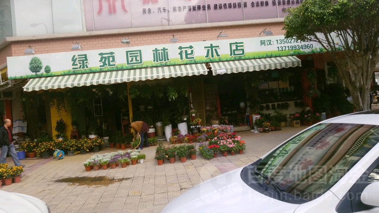 绿苑园林花木店