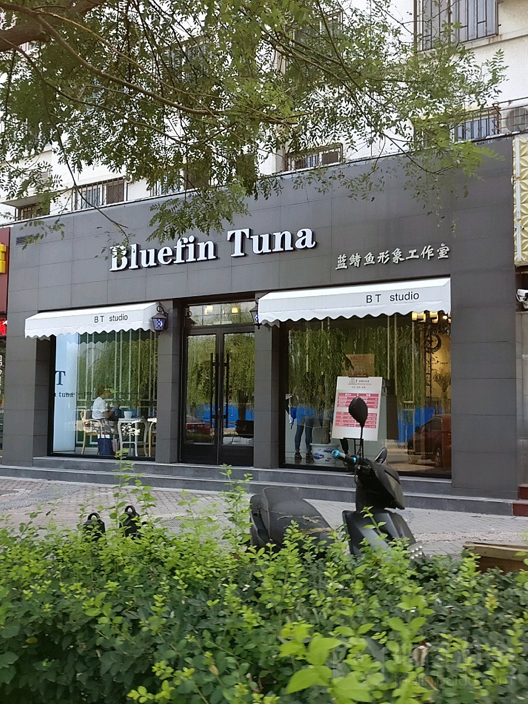 蓝鳍鲨形象(龙腾苑店)