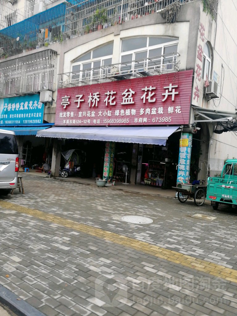 亭子桥花盆花卉