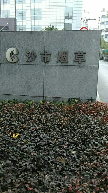 沙市烟草