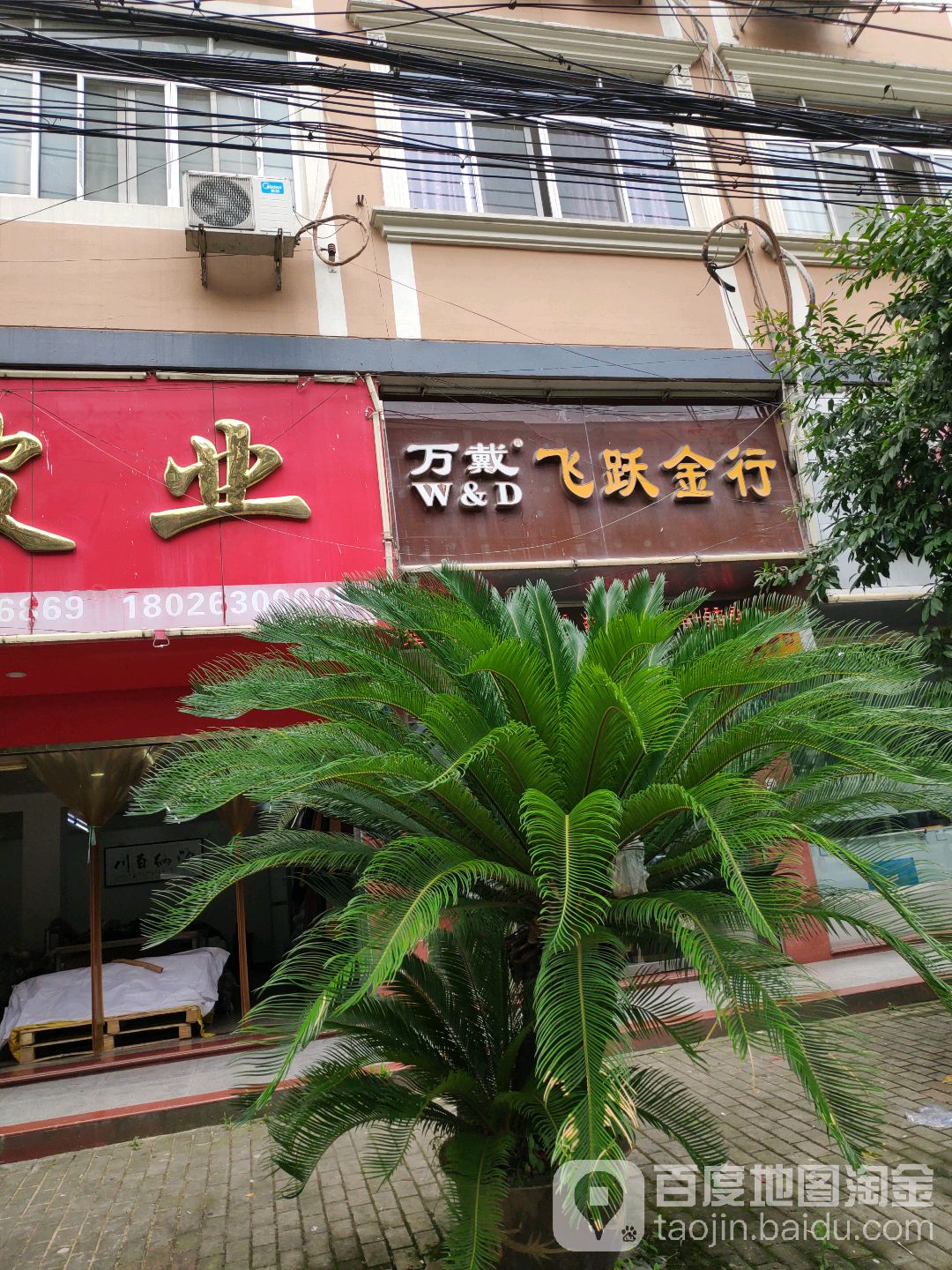 万戴飞跃金行