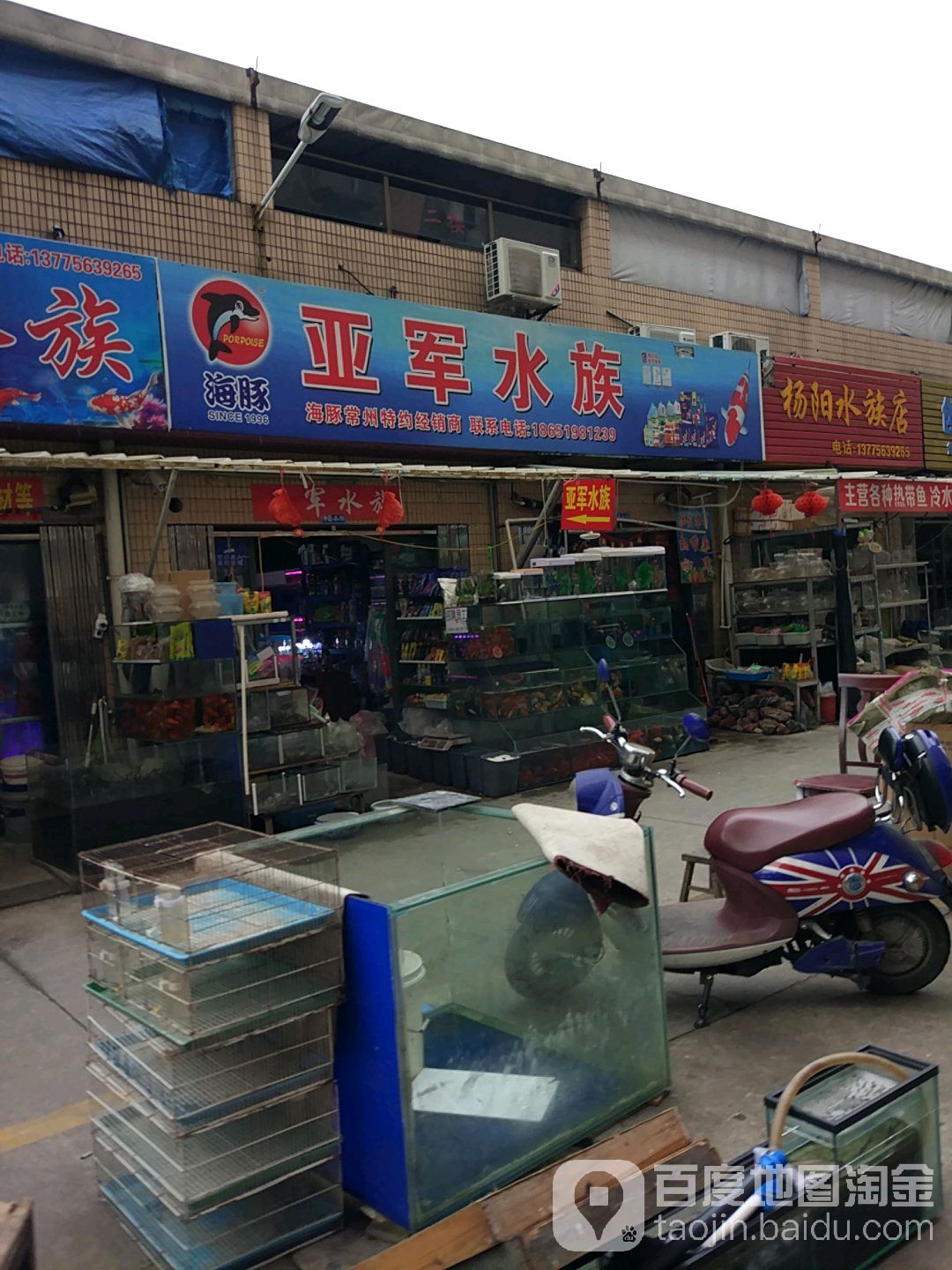 亚军水族