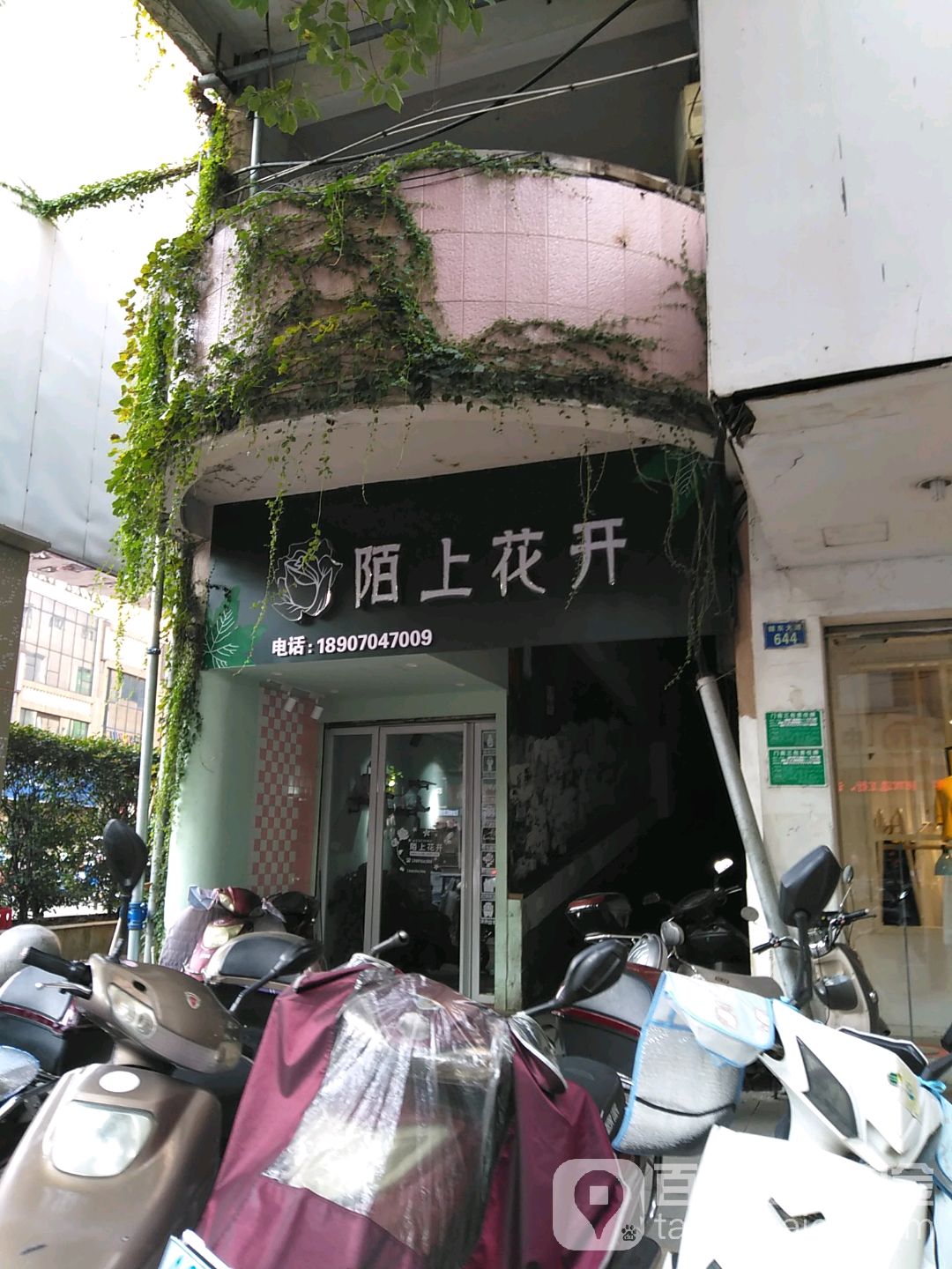 陌至上开花(花店)