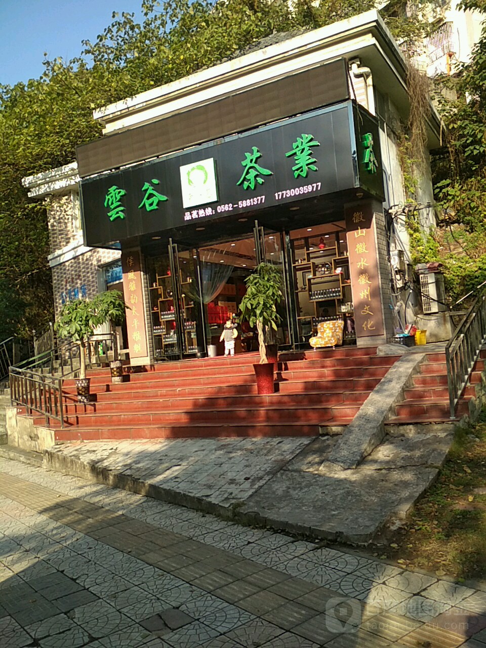 云谷茶