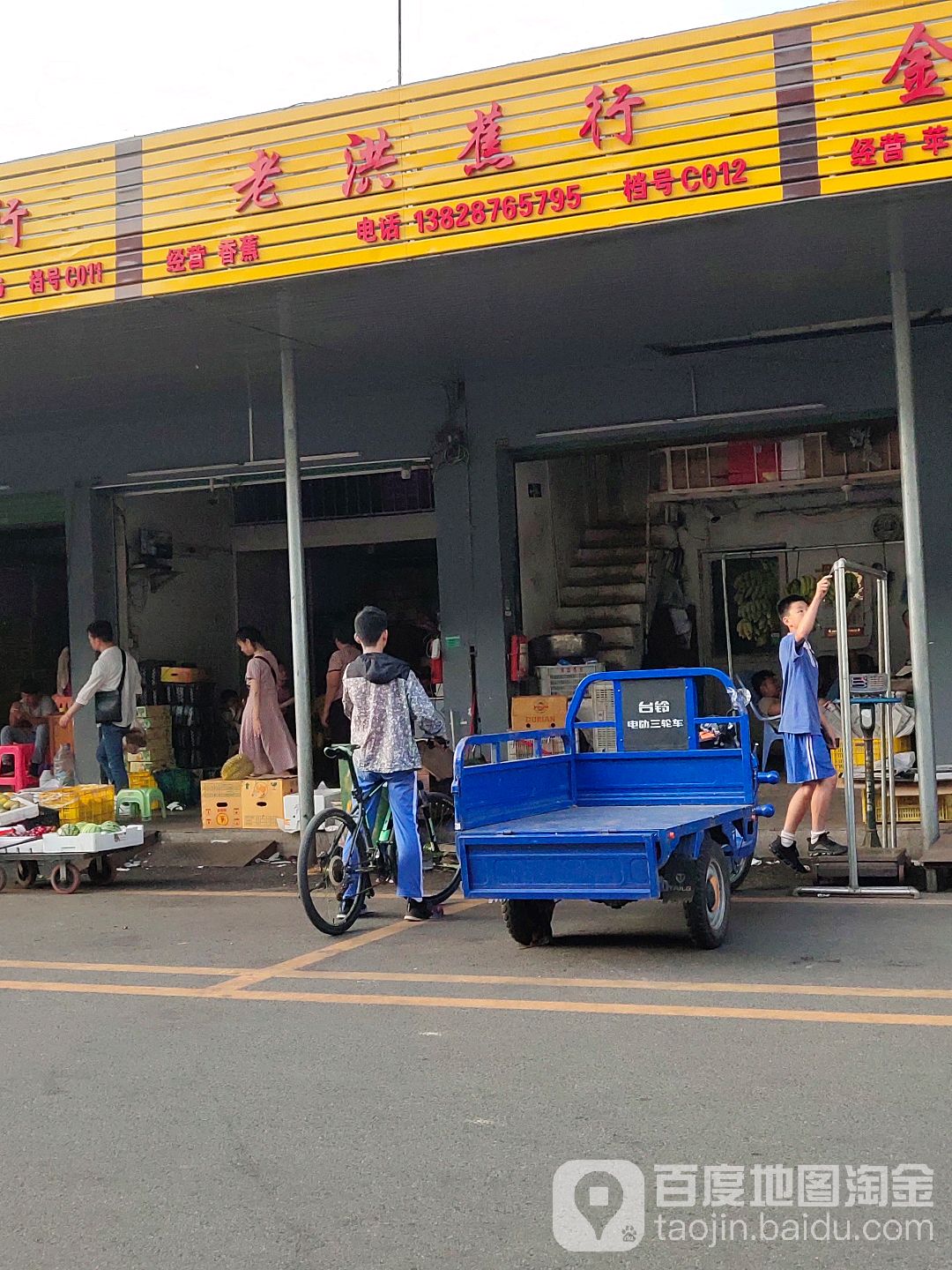 老洪蕉行