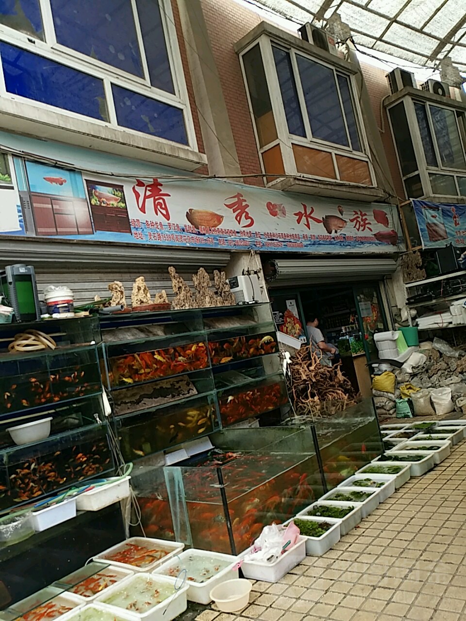 清溴水族