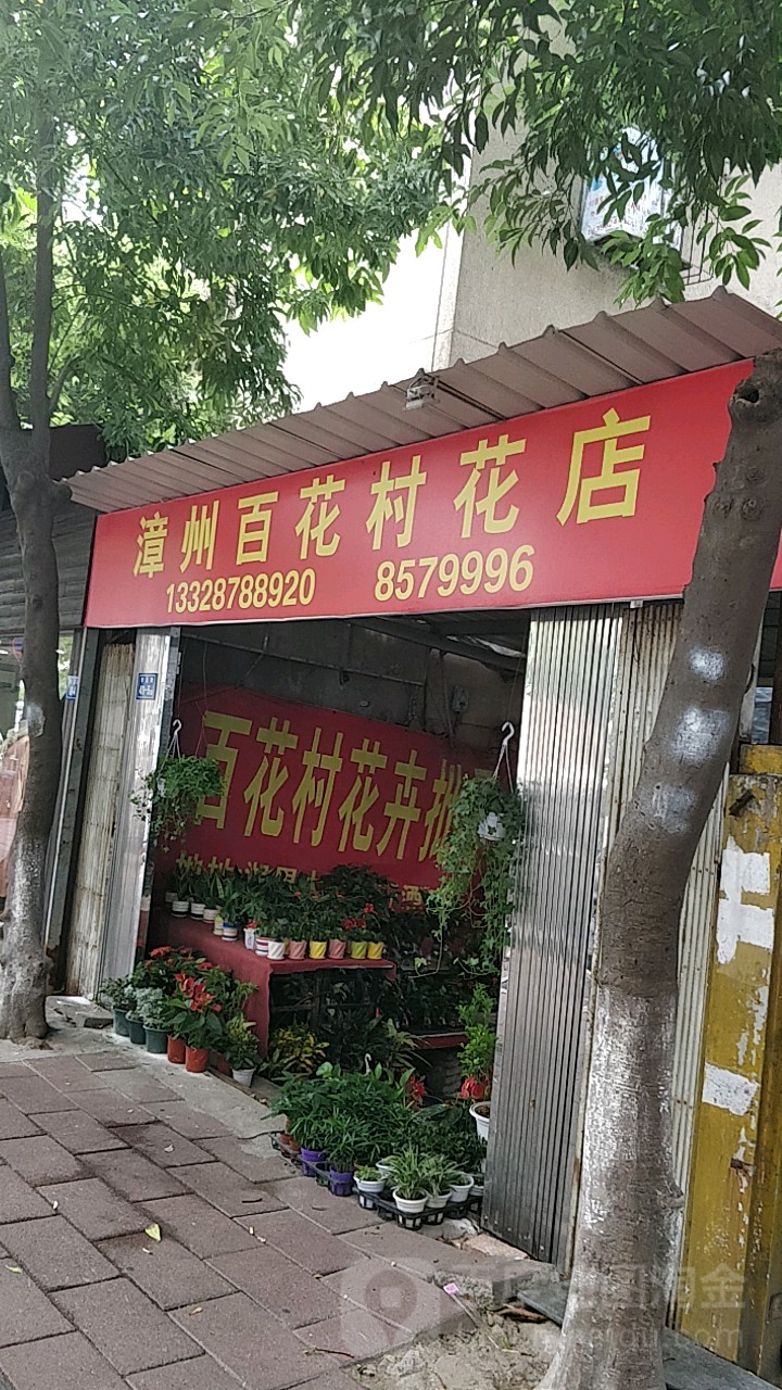 漳州百花村花店