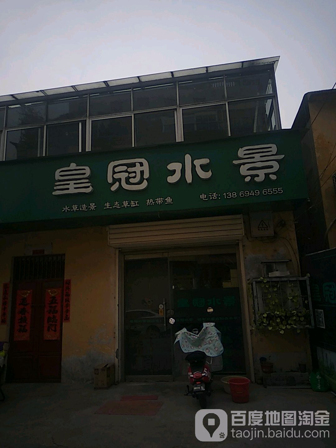 皇冠水族