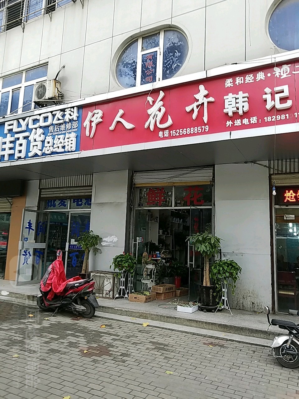 依人花卉(颍上北路店)