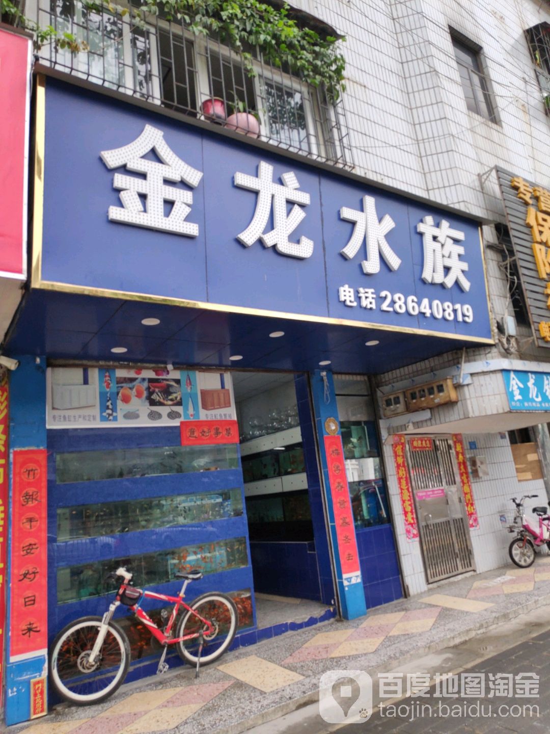 金龙水族(红棉二路店)