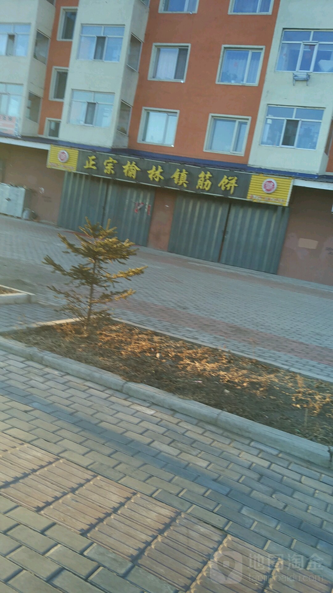 正宗榆林镇筋饼