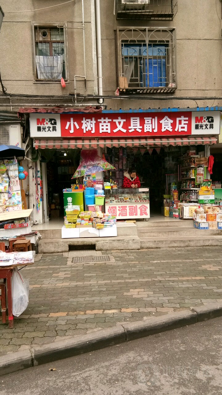 小树苗文具副食店