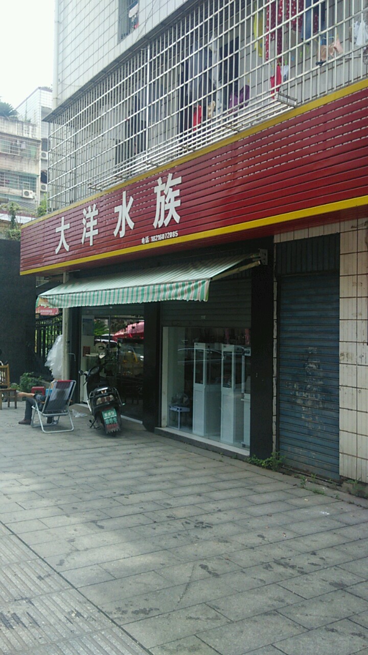 大洋水族(回雁街店)