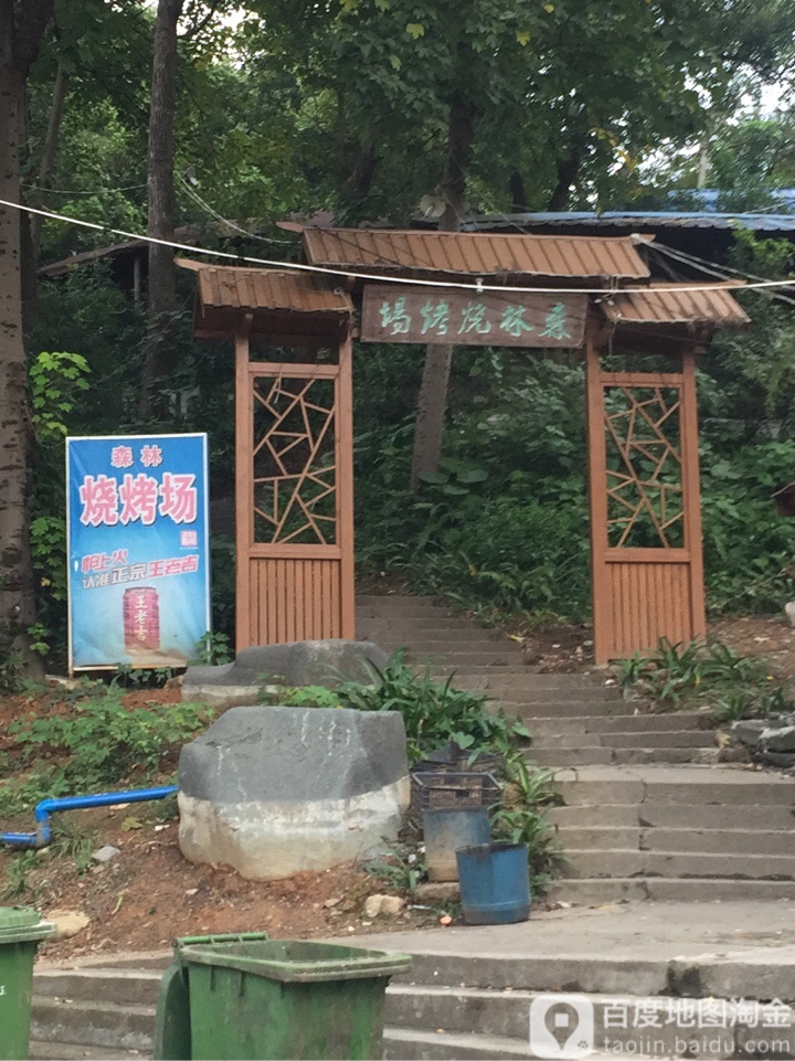 森林烧烤场东