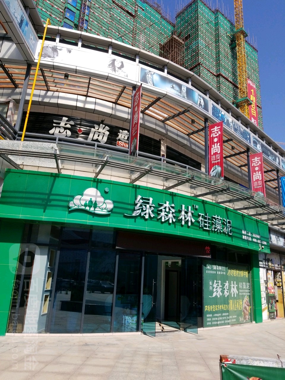 志上造型