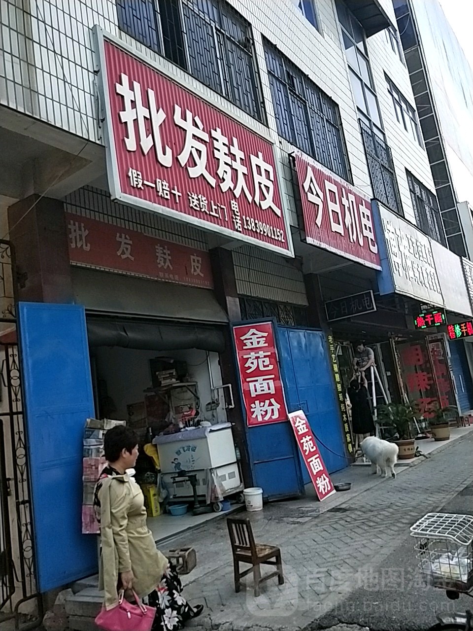 汝南县批发麸皮