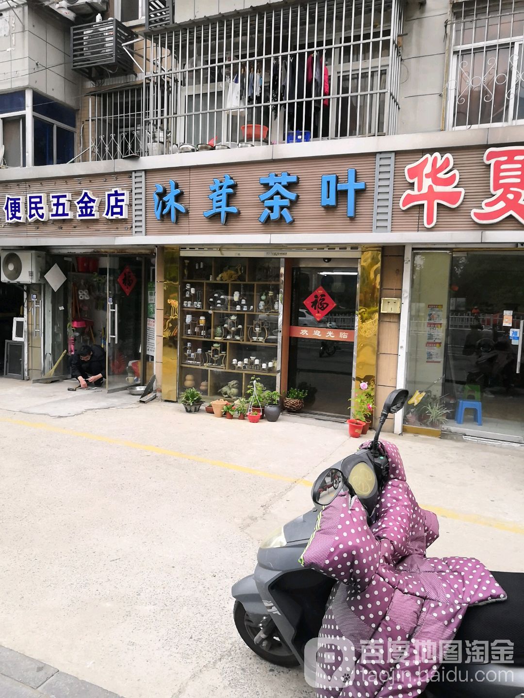沐茸茶叶