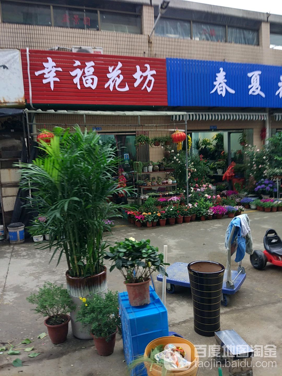 幸福花园艺坊龙城花鸟古玩市场-南区A楼店