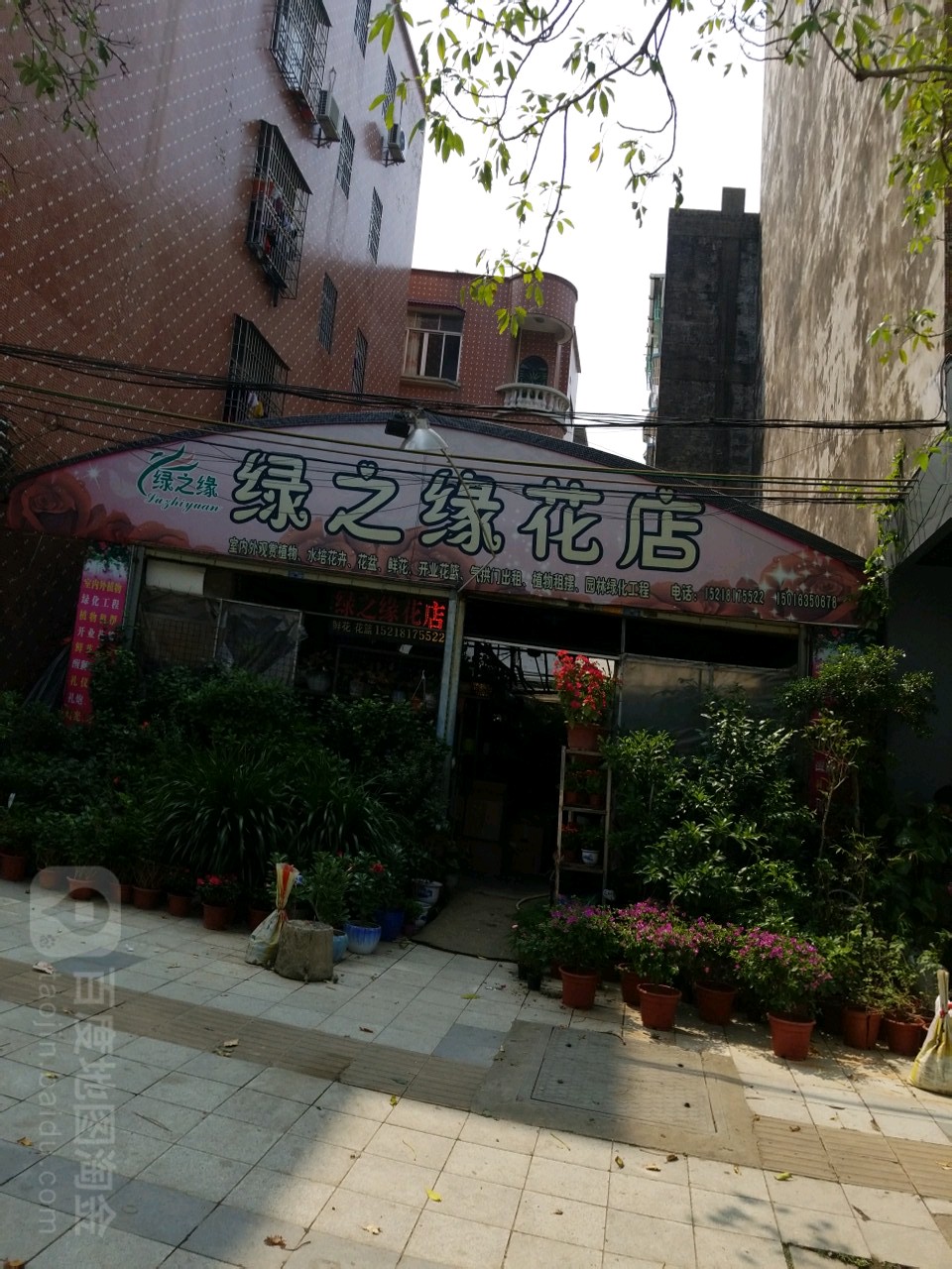 绿之缘花卉(迎宾大道店)