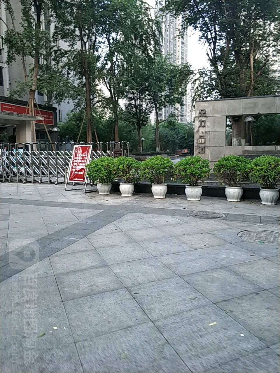 朵力品道