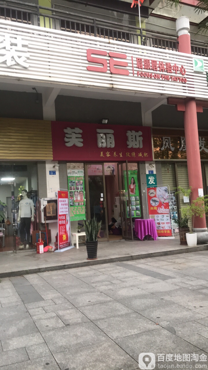 芙丽斯