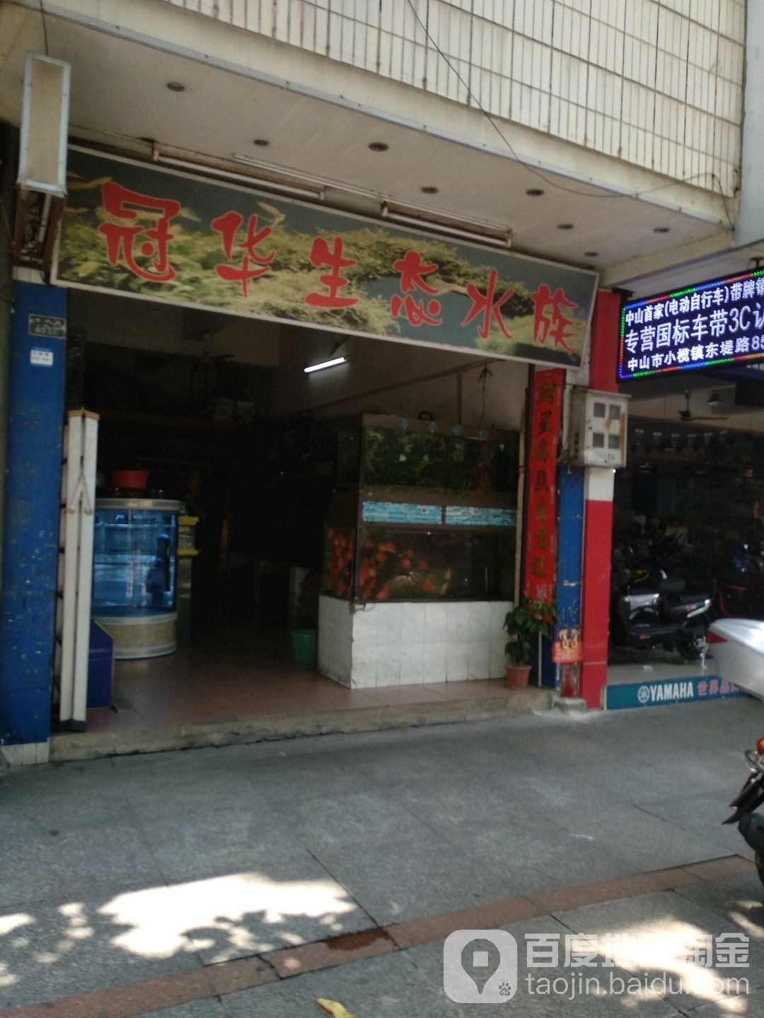 冠华生态水族