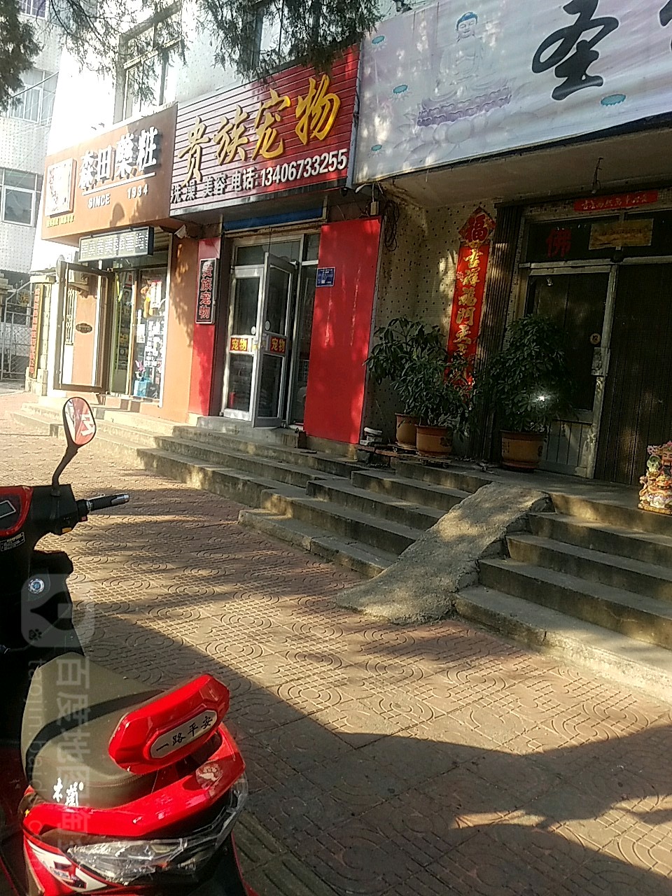 贵族宠物(乳山振华商厦商业街店)