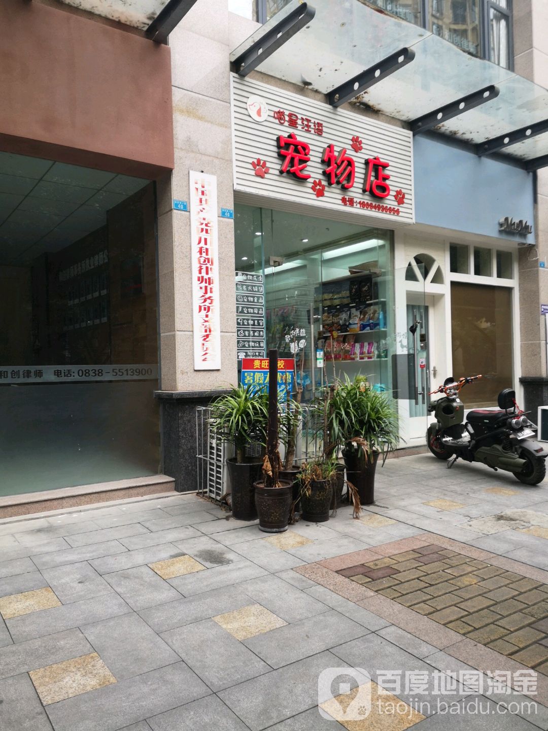 喵星汪语宠物店