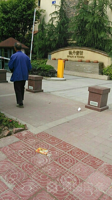 枫丹壹号