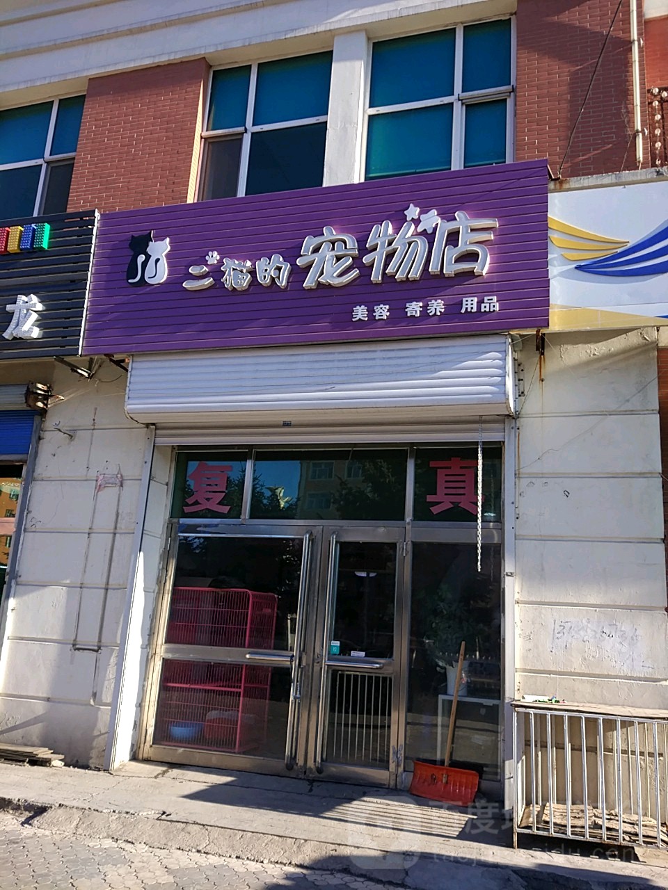 二猫的宠物店