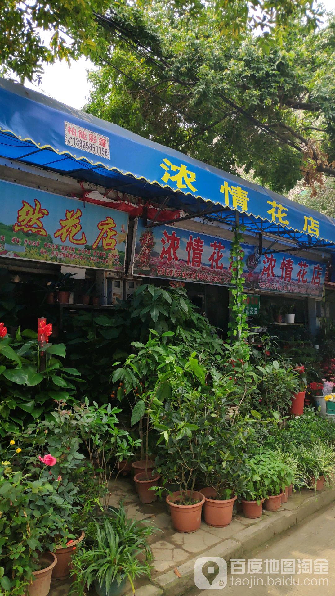 浓情花店