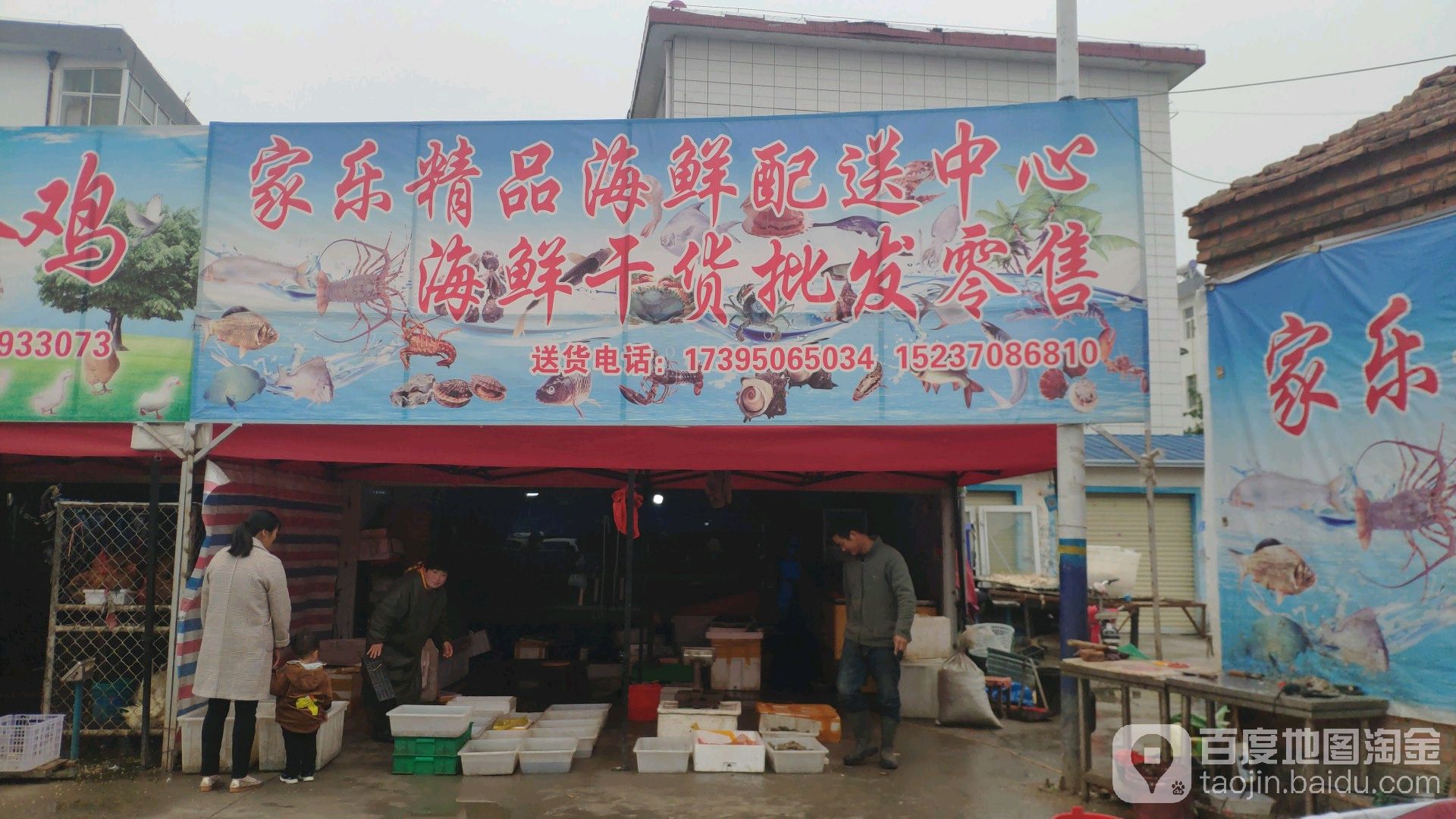 家乐海鲜活鱼批发零售