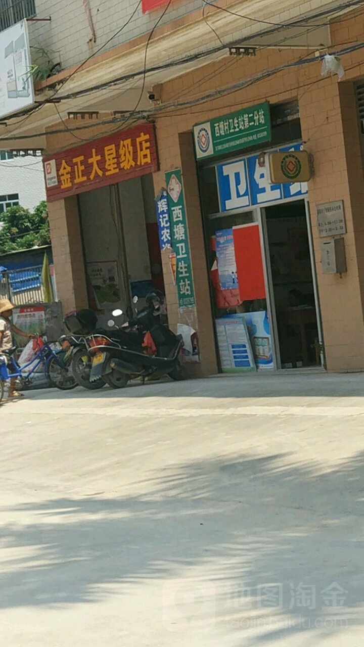 金正大星级店(X659店)