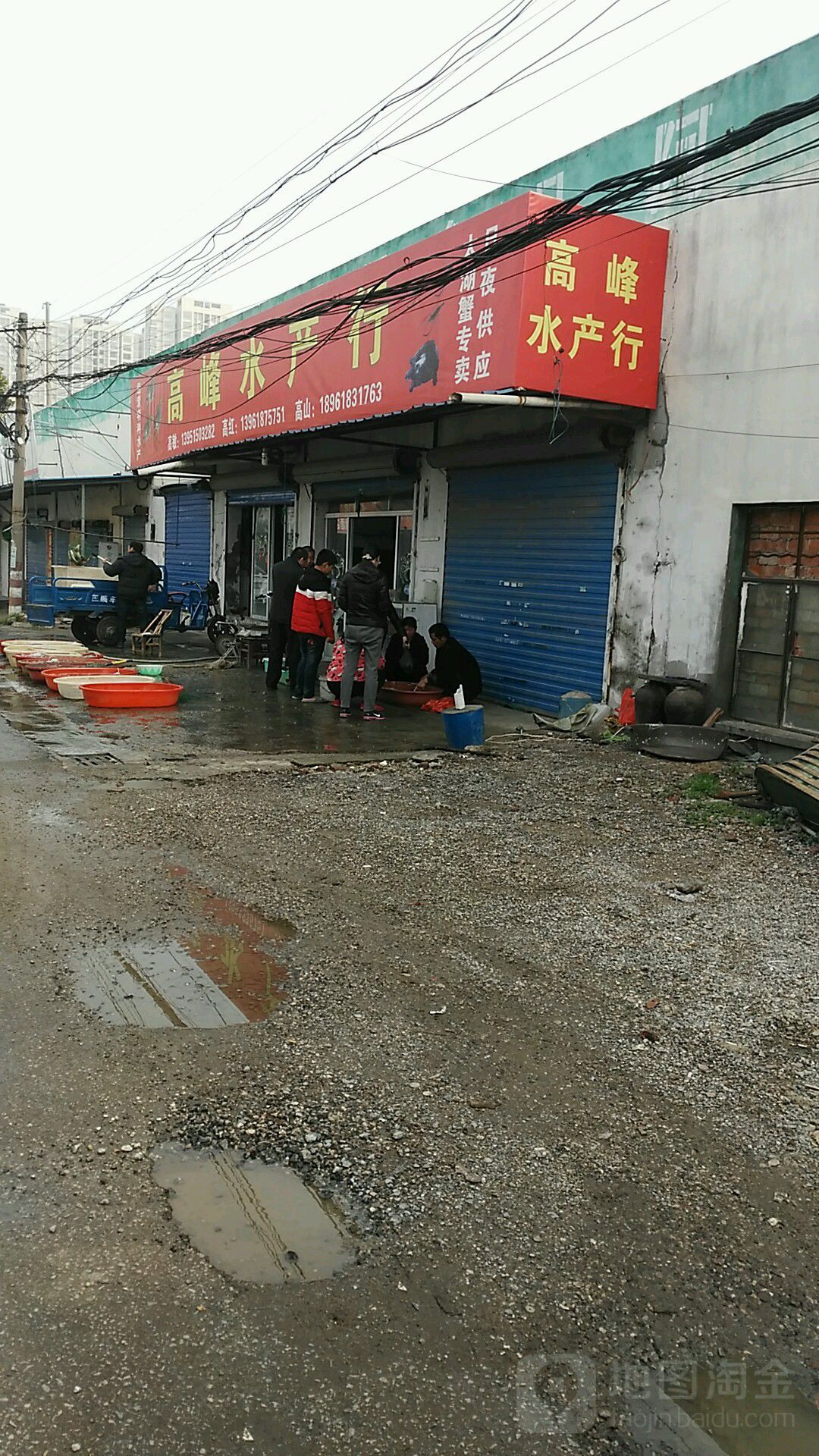 高峰水产行