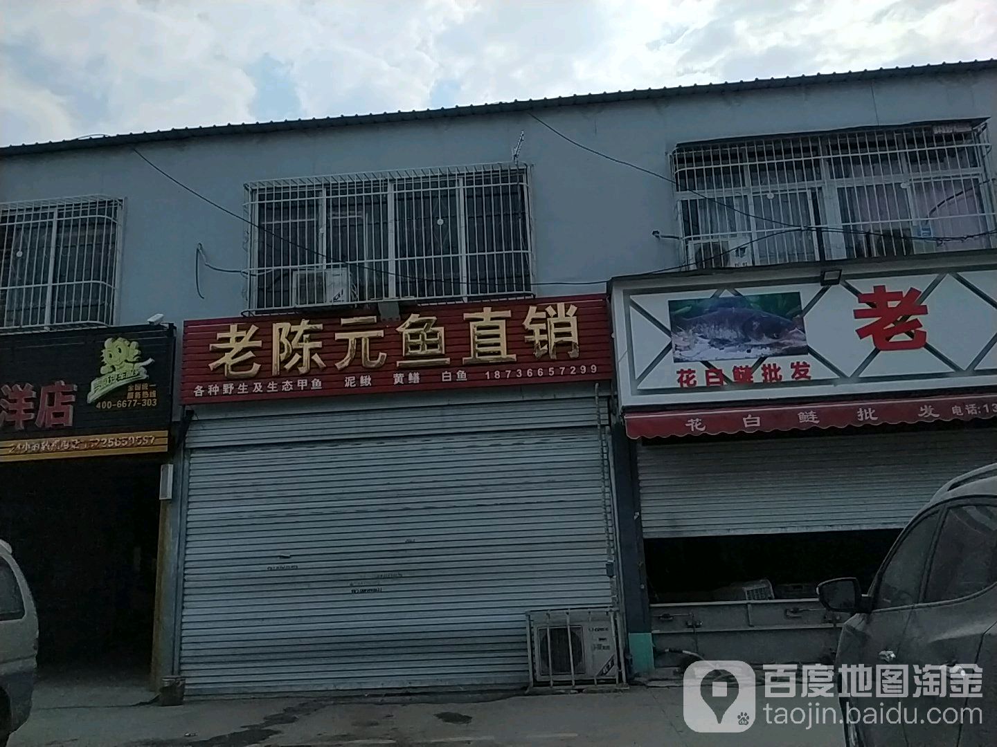 老陈元鱼直销