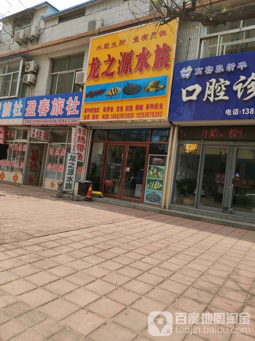 龙之源水族