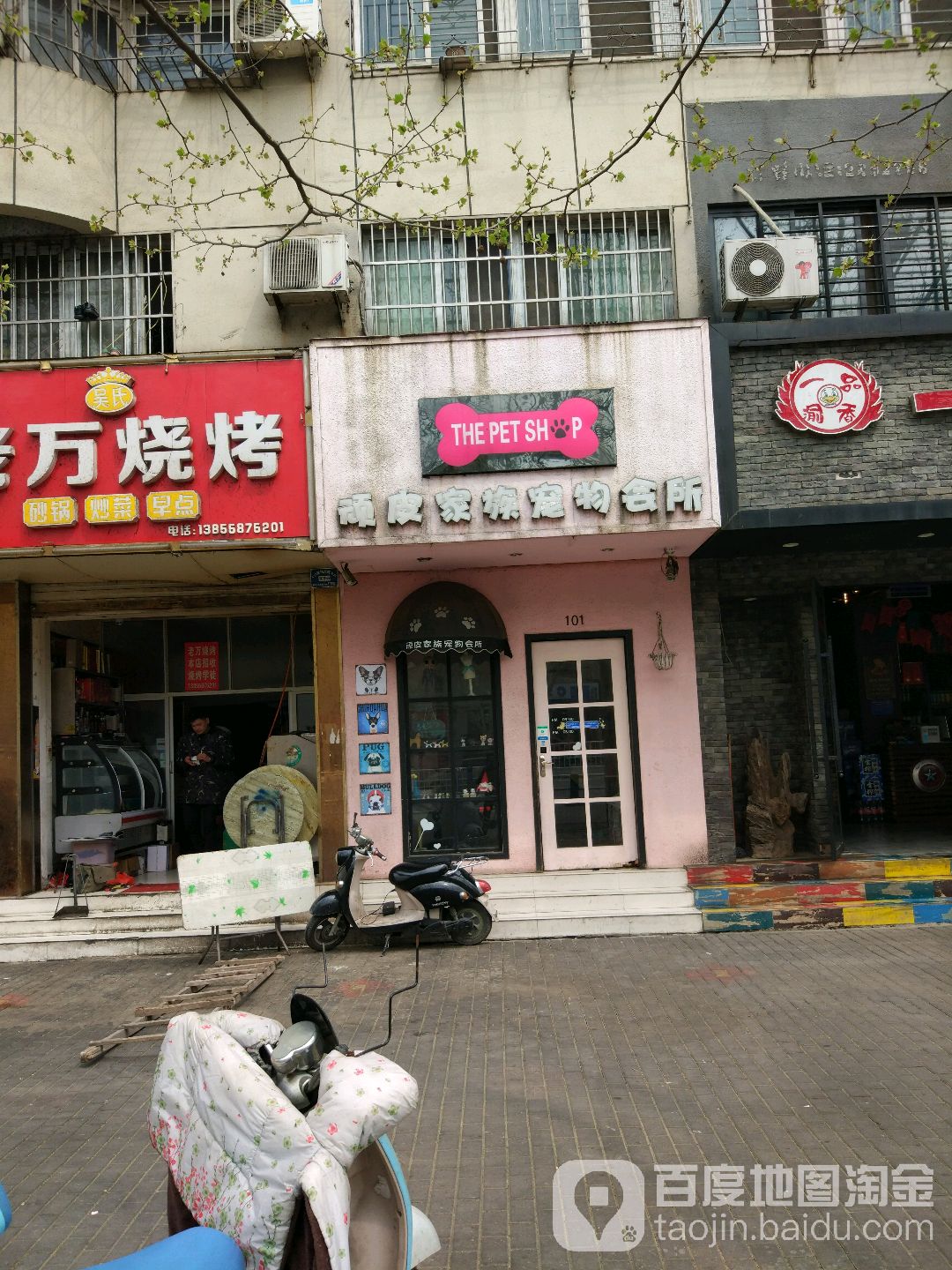 DOG顽皮家族宠物会所