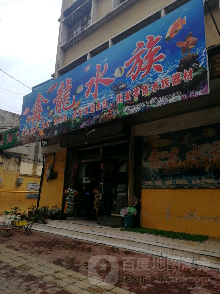 鑫龙水族